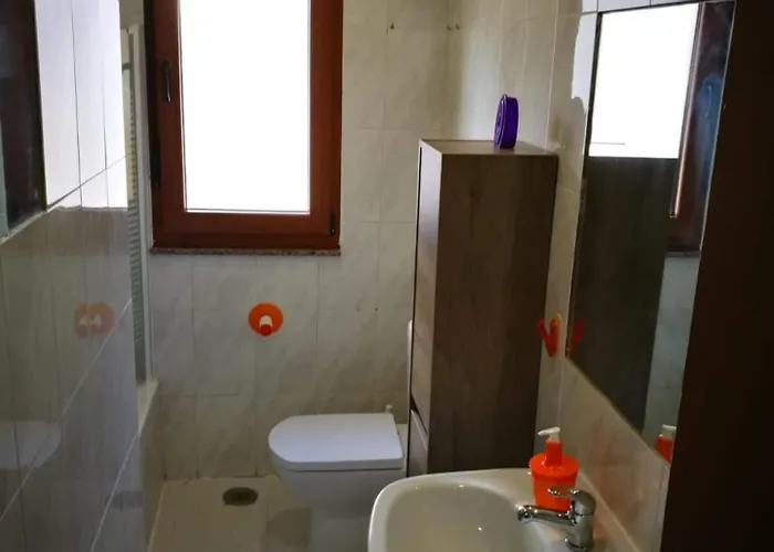 Con Vistas A La Montana *